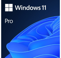 Windows 11 Pro 64bit Eng Intl 1pk DSP OEI DVD