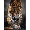 Clementoni Puzle 1000 wildlife в Черногории