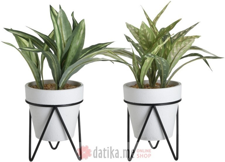 INART CVIJET U SAKSIJI PLANT IN A POT 2 DESIGNS 10Χ10Χ27cm