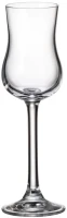Crystal Bohemia CASA ZA RAKIJU COLIBRI 0.085l 6/1 