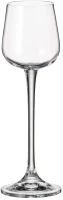 Crystal Bohemia CASA ZA RAKIJU ARDEA 60 ML 6/1
