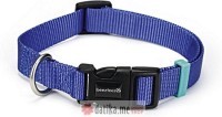 Beeztees OGRLICA ZA PSE UNI BLUE 35-50X20