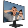 MSI PRO MP252 24.5" Full HD IPS 100Hz Monitor
