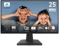 MSI PRO MP252 24.5" Full HD IPS 100Hz Monitor