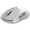 GENIUS NX-8080S BT Wireless Optical USB belo-sivi miš