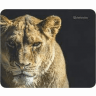 Defender Technology Wild Animals mouse pad 