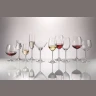 Crystal Bohemia CASA ZA SAMPANJAC ARDEA 220ML 6/1 в Черногории
