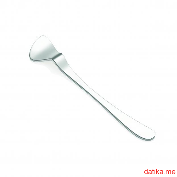 Glore GLORE STEEL TEA SPOON SET 6 PCS SILVER