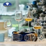 Crystal Bohemia CASA ZA VINO ARDEA 330 ML 6/1