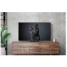 Smart TV Samsung S90C OLED 55" 4K Ultra HD (2023) в Черногории