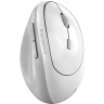 GENIUS Ergo 8350S USB Wireless White+Grey miš