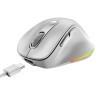 GENIUS Ergo 9000S Pro Pearl White USB Bežični Pine Wood miš