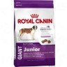 Royal Canin Giant Junior 15 kg в Черногории