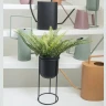 Koopman DRZAC SA SAKSIJU 38cm в Черногории