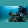 GoPro AGXTM-001 1.2m Carbon Fiber Extension Pole  в Черногории