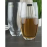 Crystal Bohemia CASA ZA VODU MERGUS 470 ML 6/1 