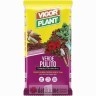 VIGORPLANT Ukrasna kora primorskog bora VERDEPULIT0 15-25mm 60L