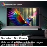 HISENSE 65U6NQ 65 inča Mini-LED 4K UHD Smart TV