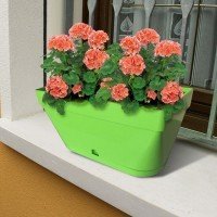 NPB Luna Flower Box Green 
