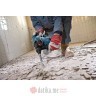 BOSCH Čekić bušilica elektro-pneumatski SDS-plus 3.1J 800W GBH 3-28DRE