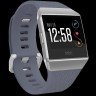 Fitbit Ionic Watch Music storage, Apps, Fitnesss guidance 