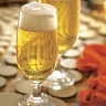NADIR FLORIPA CASA ZA PIVO 300ml 6/1 в Черногории