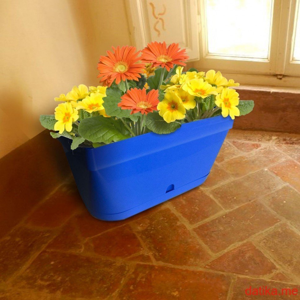 NPB Luna Flower Box Blue