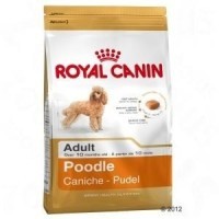 Royal Canin Poodle adult 1.5 kg