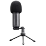 Trust GXT 252+ Emita Plus Professional Streaming Microphone 