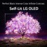 LG OLED55C11LB OLED TV 55'' 4K, Cinema HDR, ThinQ AI, webOS Smart TV