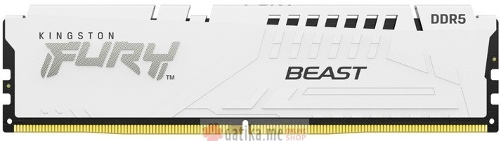 KINGSTON DIMM DDR5 16GB 6800MT/s KF568C34BWE-16 FURY Beast White EXPO 
