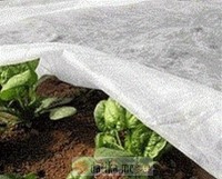 PAPILLON Agrotekstil platno,zaštita od hladnoće 30gr/m2 2x5m