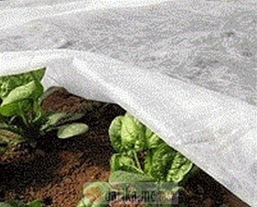 PAPILLON Agrotekstil platno,zaštita od hladnoće 30gr/m2 2x5m