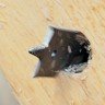 Bosch Burgija za drvo pljosnata 12x400mm prihvat HEX 1/4" SelfCut в Черногории