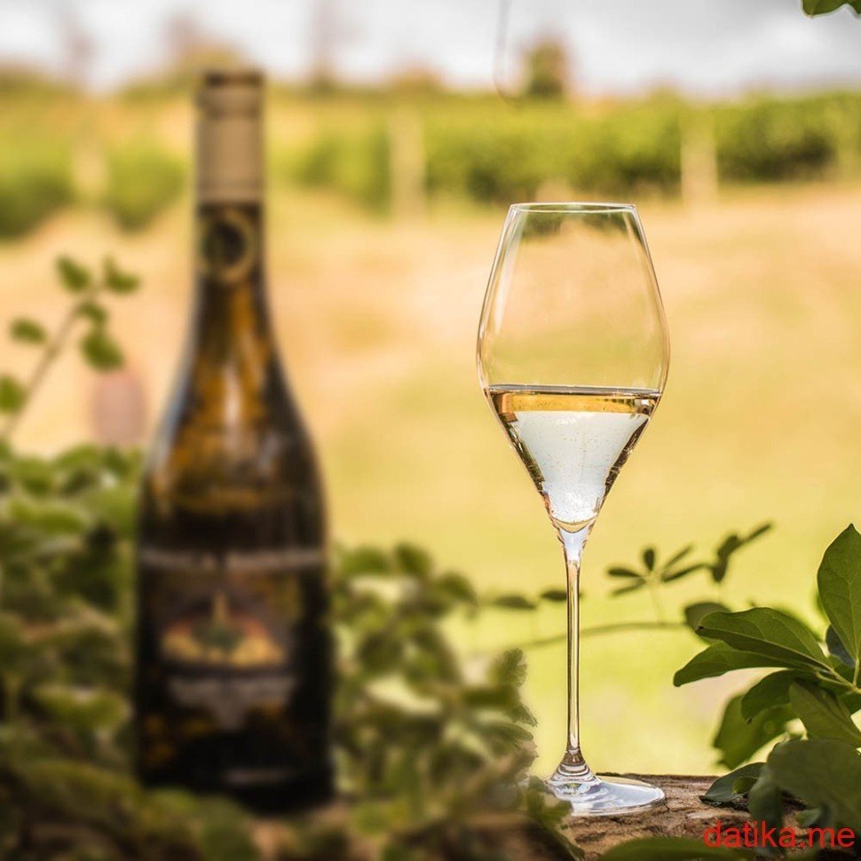 RONA SWAN čaša za vino 430ml 6/1 в Черногории