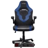 TRUST GXT 703B Riye Comfortable adjustable gaming chair,flip-up armrests,Max weight 140kg,Blue