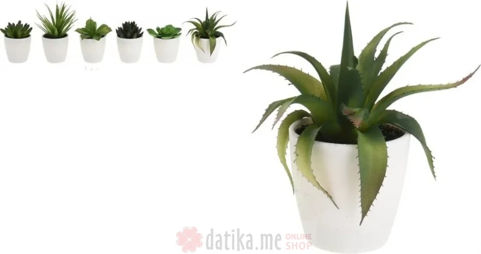 ProGarden Vještačka biljka Sekulant 15cm u saksiji 10cm в Черногории