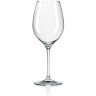 RONA CELEBRATION čaša za vino 470ml 6/1 в Черногории
