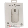 White Shark AERO White - Wireless mouse