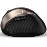 Genius Ergo 8250S USB Wireless Champagne Gold mis 