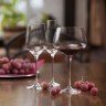 RONA CHARISMA čaša za vino 720ml 4/1 в Черногории