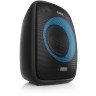 Niceboy Party Boy 2 100W