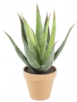 Emix Garden Vještačka biljka Aloe Vera x 17listova 55cm