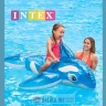 Intex 58523 Igracka na naduvavanje kit 1.52mx1.14m в Черногории