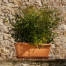 IDel Ducale Žardinjera plastična 100x45x39cm/110L Dark grey