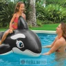 Intex 58561 Igracka delfin na naduvavanje za vodu