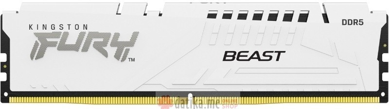 Kingston FURY Beast White DIMM DDR5 16GB 5600MT/s, KF556C40BW-16 in Podgorica Montenegro