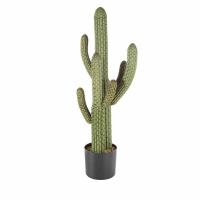 ProGarden Vještačka biljka Cactus 60cm u saksiji 14cm