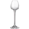 Crystal Bohemia CASA ANSER 0.07l 6/1