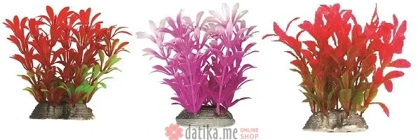 TATRAPET UKRASI ZA AQKVQRIUME LODWIGIA 10-12CM